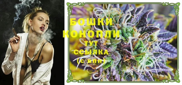 МДПВ Лиски