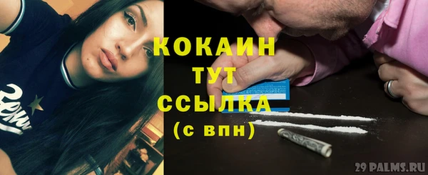 спайс Магас