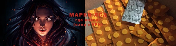 спайс Магас