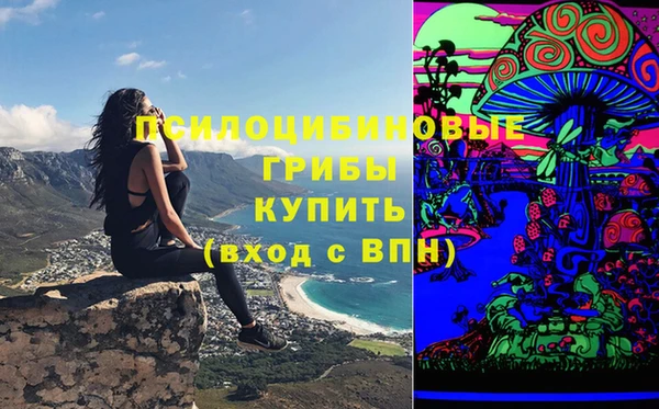 прущие грибы Липки