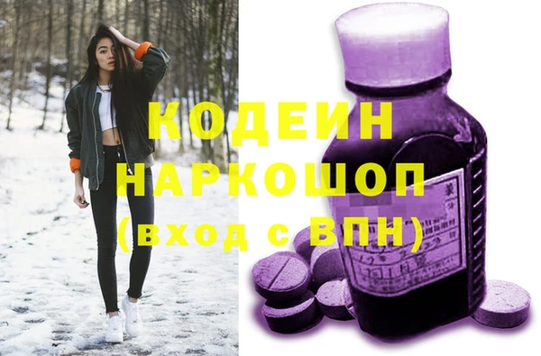 прущие грибы Липки